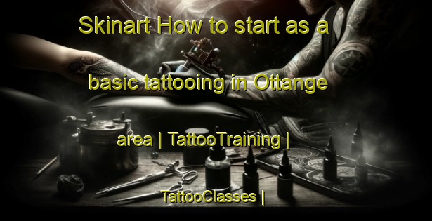 Skinart How to start as a basic tattooing in Ottange area | TattooTraining | TattooClasses | SkinartTraining-France
